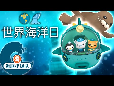 海底小纵队 - 🌊 世界海洋日 🌎 | 一小时特辑！| 集完整版