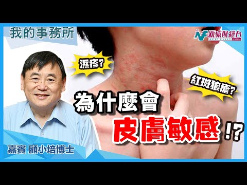 【我的事務所】什麼原因導致皮膚敏感、濕疹問題？這些健康食品有助改善！｜顧小培 劉婉芬