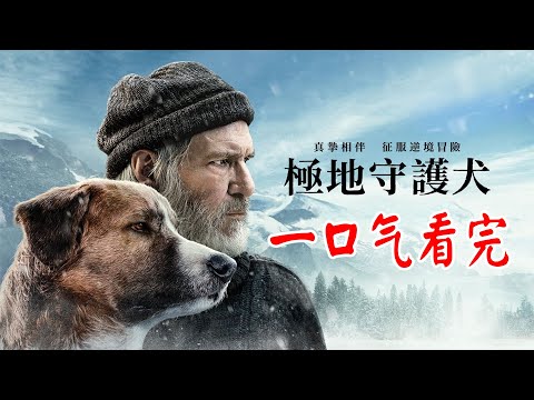 極地守護犬, 一口气看完 《極地守護犬 The Call of the Wild》