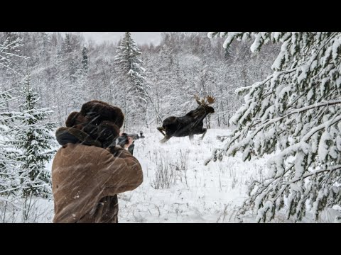Elk Hunt. The animal came straight at me! I got enough meat for a year.