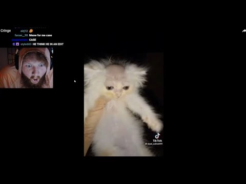 CaseOh Reacts To CRAZIEST TikTok Videos Compilation 💀