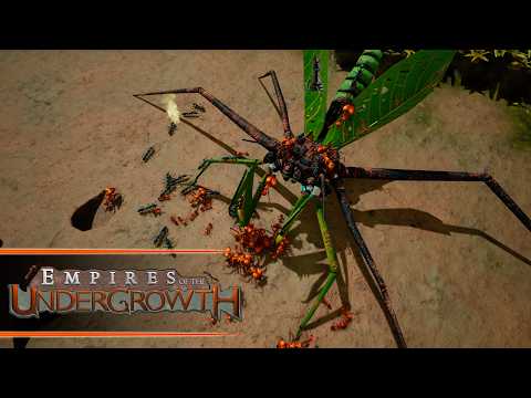 Empires of the Undergrowth - Review