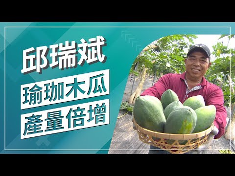 草地狀元 瑜珈木瓜 超級神手(2019.12.02播出)