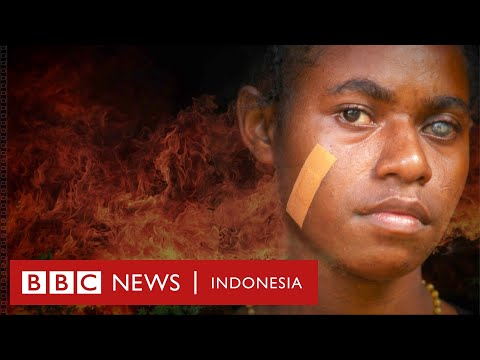 Lara di hutan Papua: Ancaman serius pembukaan lahan demi sawit - BBC News Indonesia