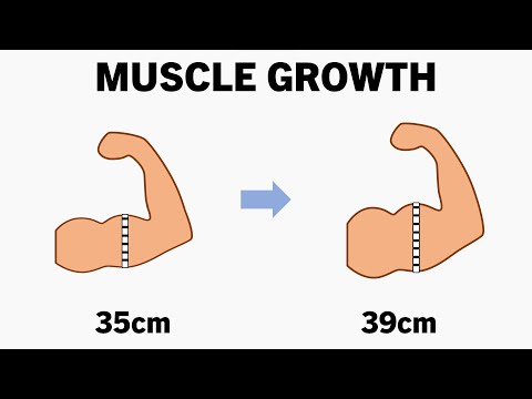 What is the Best Way to Measure Muscle Growth?