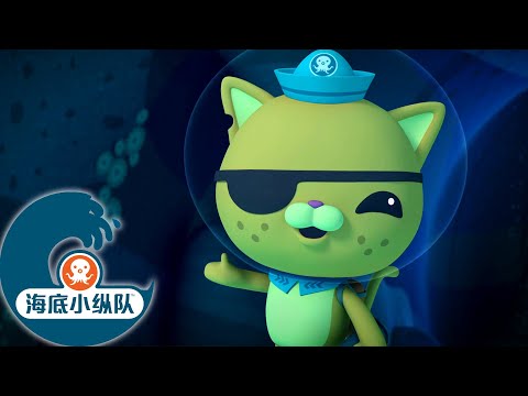 海底小纵队 - 水下秘密 | 2集完整版