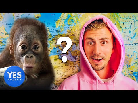 Letting a Monkey Decide which Country we Fly to...