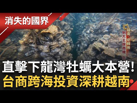 「牡蠣」越南重要經濟命脈！直擊下龍灣養殖大本營 台商深耕28年 搶攻全球「綠色供應鏈」前進韓捕鯨重鎮「蔚山」！建觀光文化村重現捕鯨盛況｜李文儀主持｜【消失的國界PART1】20250302｜三立新聞台