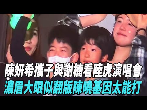 陳妍希攜子與謝楠看陸虎演唱會，濃眉大眼似翻版陳曉，基因太能打！！#陳妍希#周柯宇#陳曉#娛樂星八卦KOR