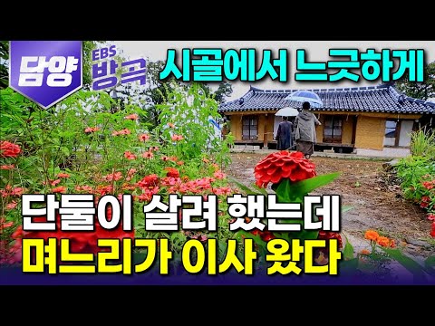 [전남 담양] "아프길 참 잘 했다" 건강 잃고 떠나온 시골 동네에서 26년째, 며느리에 손자까지 한눈에 반해 다시 대가족이 된 부부의 멋들어진 기와집｜#한국기행 #방방곡곡