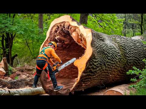 ЗАЛИПАТЕЛЬНЫЕ МОМЕНТЫ С РАБОЧИМИ, ОТ КОТОРЫХ НЕВОЗМОЖНО ОТОРВАТЬ ВЗГЛЯД