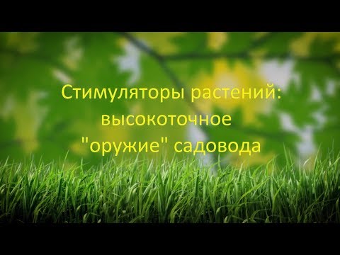 Стимуляторы роста растений: высокоточное «оружие» садовода