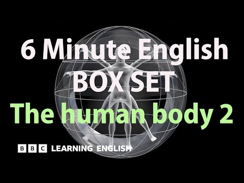 BOX SET: 6 Minute English - 'The human body 2' English mega-class! 30 minutes of new vocab!