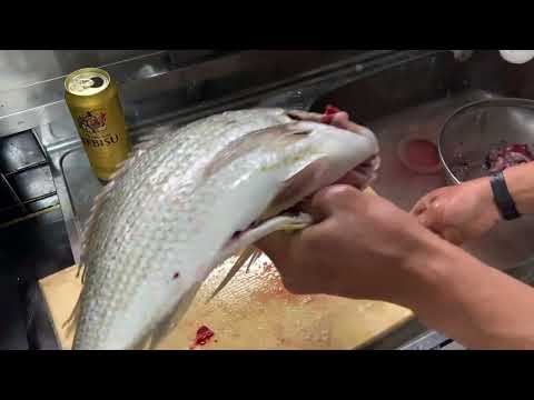 夕食ライブ 2026.1.18 ヘダイ