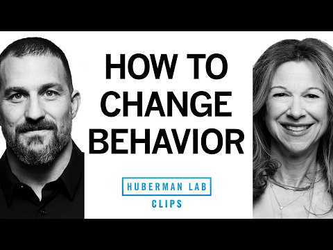 The 5 Stages to Change Behavior | Lori Gottlieb & Dr. Andrew Huberman