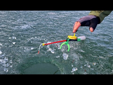 Річка Прут Зимою. Оце Крупнячок Підійшов