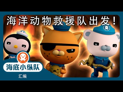 海底小纵队 - 🐻‍❄️🐙 海洋动物救援队出发! ⛑️🛟 | ⏱️ 1小时+汇编 | 集完整版