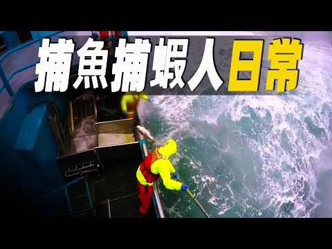 走進世界最先進的延繩捕魚捕蝦船，如同白令海上的移動印鈔機，輕鬆月入 15000 美元 #大脑洞记事 #捕鱼