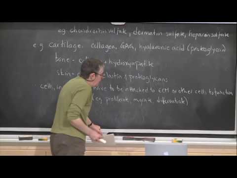 13. Tissue Engineering Scaffolds: Processing and Properties