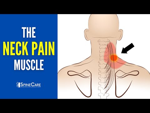 The Neck Pain Muscle (How to Release It for INSTANT RELIEF)