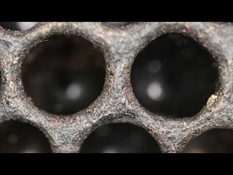 Why Rotating Out Old Comb Is Important