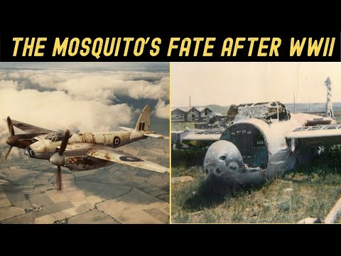 What Happened to Canada’s ‘Wooden Wonder’ After World War II?