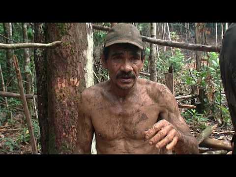 Brazil: Promises of the River