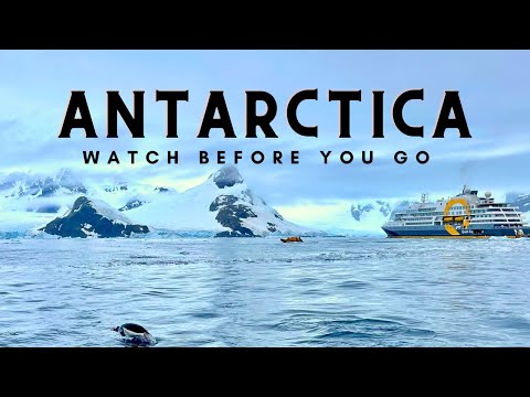 🐧 Antarctica Cruise: What to Pack and Essential Info to Know