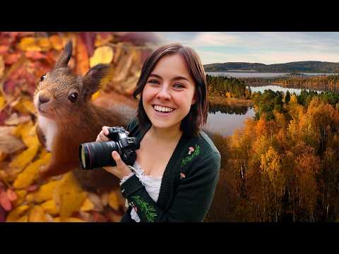 Capturing the Magic of Autumn! — Simple Life Northern Sweden
