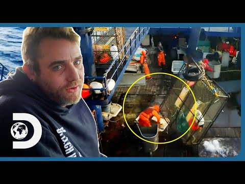 Deckhand Takes A HUGE Hit To The Head By A Swinging Crab Cage! | Deadliest Catch