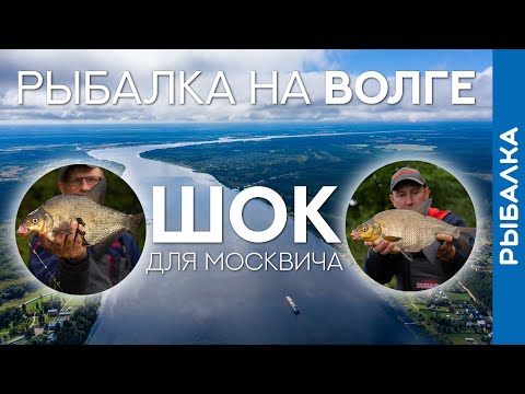 Такими снастями НЕ ЛОВЯТ в Москве! Коварные лещи и злые бровки на Волге