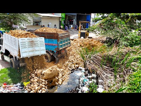 First​ Starting NEW Project! Huge Land Heavy Size Was Deleting With 5ton Trucks & D31P Dozer Erase!