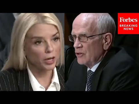 'What Do You Mean By The Left?': Peter Welch Confronts Bondi Over 'Takeover Of The Voting Process'