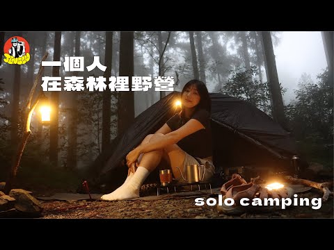 Solo Camping in a Misty Forest