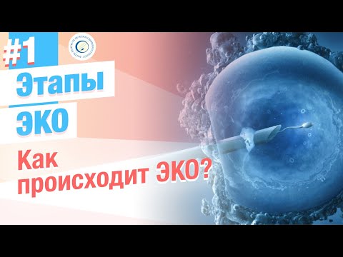 ⭐ How does IVF work? The stages of the IVF and ICSI procedure