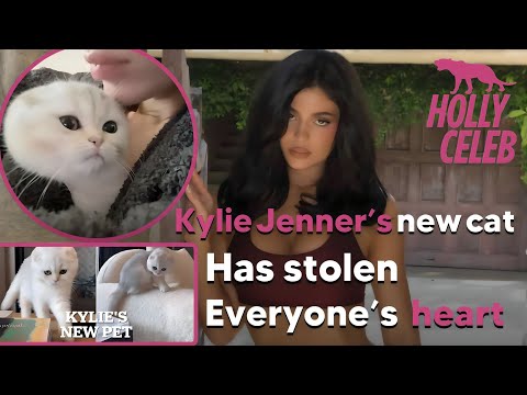 🔴 Kylie Jenner has brought home a cat after losing her beloved dog " NORMAN " 😍❤️