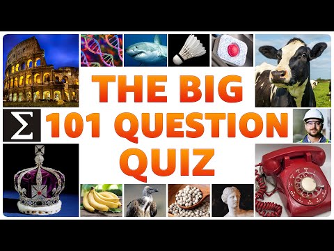 You'll Love This Quiz - 101 Questions For Everyone!
