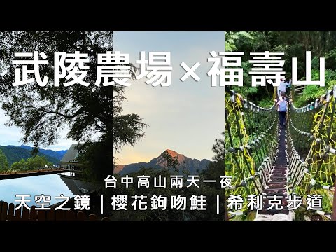 【Wuling Farm｜Lishan｜Fushoushan Farm】 Taichung High Mountain Two Days One Night｜Stay at the "Lisha...