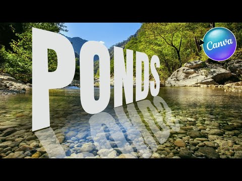 How to create 3-D Perspective Text Effect with Reflection using canva : canva graphic design