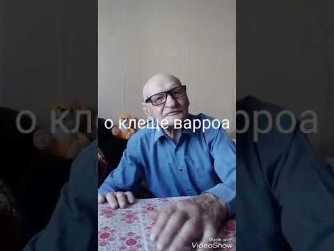 Как на 100 % победить клеща варроа . Рассказывает старейший пчеловод с 65 летним стажем