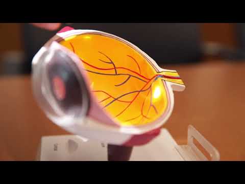 Why It's Dangerous to Look at the Sun During an Eclipse