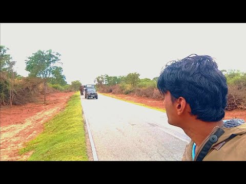 බුත්තල පාරට අලුතින් ආ දරුණු අලියා🍁🐘🐘🍀🙅