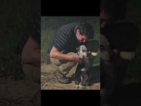 Thanks to your donations, we were able to take in this puppy. Meet Oreo!