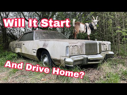 Big Block Bro-Ham! Ant Infested Unsellable Luxury Car! Will It Run and Drive Home?