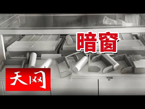 《天网》小城大案：黄某在金店疯狂行窃 金店暗窗成为破解线索！20241226