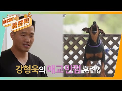 [#개는훌륭하다] 예측불허! 기습 공격성, 개거품까지 물어버린 도베르만 비앙카! 애교만점 강 훈련사?? 🥰 ㅣ KBS 210705 방송
