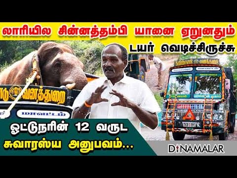 லாரியில சின்னத்தம்பி யானை ஏறுனதும் டயர் வெடிச்சிருச்சு... ஓட்டுநரின் 12 வருட சுவாரஸ்ய அனுபவம்...