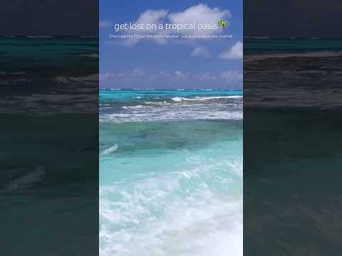 Lost on a Tropical Island Paradise 🌴  #shorts