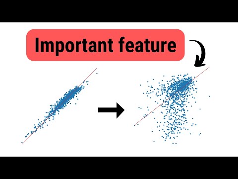 Permutation Feature Importance from Scratch | Explanation & Python Code