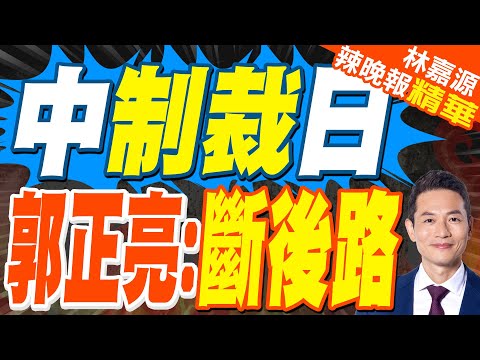 制裁岩崎茂的效果顯現了 看看日本官方和他兒子的反應就知道?｜中制裁日 郭正亮:斷後路｜蔡正元.介文汲.張延廷深度剖析?【林嘉源辣晚報】精華版 @中天新聞CtiNews